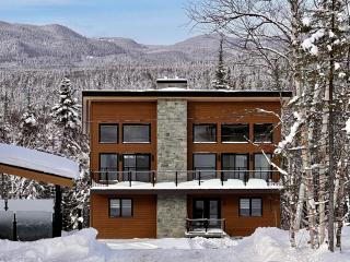 Sous-Bois Condo in Valinouet - Monts-Valin - 0