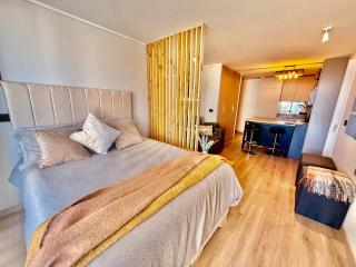 Modern apartment with detailed decor on Eluchans Avenue - 6