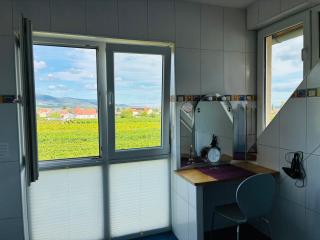 Ferienwohnung Villa Südpfalz mit Fernblick - 2