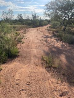 Calle Tortuga Farm - 1