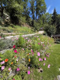 La Ferme d'Angele - Séez - 8