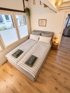 Stylisches Tiny House in Basel - 4