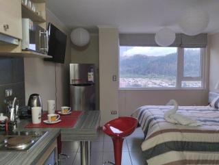 Apartamento Studio ( Nuevo ), Torre Nueva O´Higgins - 9
