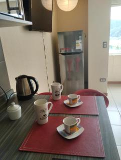 Apartamento Studio ( Nuevo ), Torre Nueva O´Higgins - 4