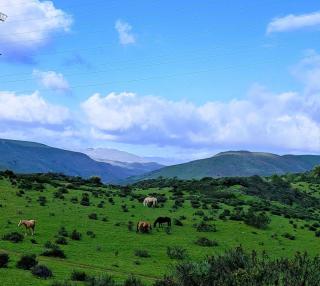 Glamping with Horses at Corazon Salvaje - 4