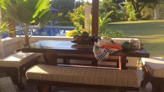 Fuente Clara - Country Oasis with Pool - 6