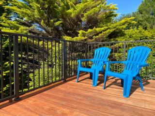 Treetop Cottage - Hanmer Springs - 6