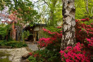 Olinda Beech 1 - 1 bedroom - by Ready Set Stay - 4