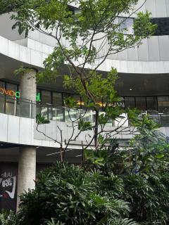 Casa Rama - Air residences Makati - 3