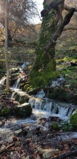 Sofia Mountain Getaway, Crete - 9