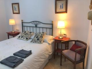 Casa San Rafael, magnífico chalet con gran jardín - 1