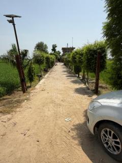 Farm stay - 9