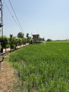 Farm stay - 3