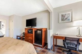 Quality Inn Memphis Airport - 3