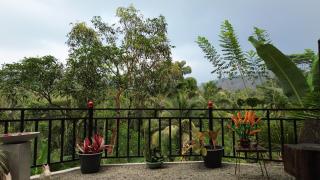 Sinharaja Green Mountain Retreat - 5