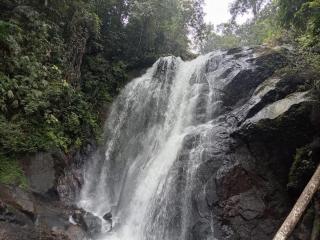 Sinharaja Green Mountain Retreat - 1
