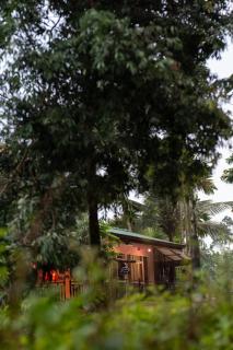 Sinharaja Green Mountain Retreat - 0