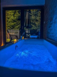 Vila Bašić Vlašić JELEN Spa Apartman Sauna & Jacuzzi - 1