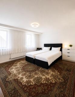 Iridam Ferienwohnung nahe Bad Elster & Natur - 9