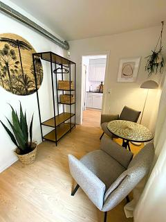 Altstadt-Duo 2 apartments for family & friends - 9