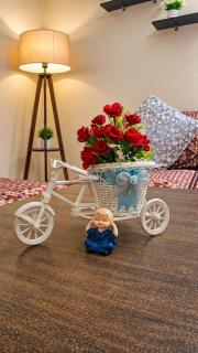 Zaya Your Peaceful Stay in Jaipur - 6