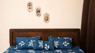 Zaya Your Peaceful Stay in Jaipur - 2