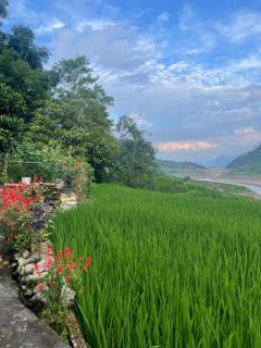 ZiZi-SINH HOMESTAY - 9