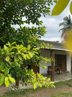 Rose Garden Safari Cottage - 1