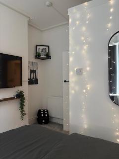 Cardiff Central Spacious 1BR Ground Floor Flat With Garden - 5