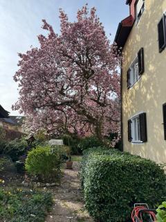 70qm 3-Zimmer Apartment am Tauernradweg in Hallein bei Salzburg, nahe Berchtesgaden, Roßfeld, Kehlsteinhaus, Obersalzberg, Watzmann, Schönau am Königsee, Fuschlsee, Schloss Hellbrunn, Burg Hohen Salzburg, Burg Hohen Werfen # Accommodation OC45, Chalet MH - 4