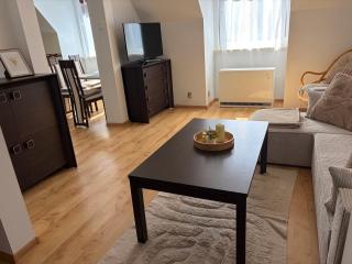 Apartament u Babci Helenki - przy parku bezpłatny parking - 1