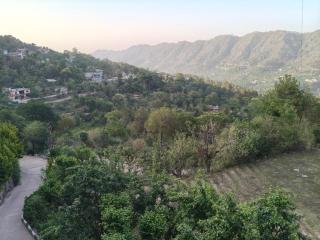 Himalayan Dreams - 7