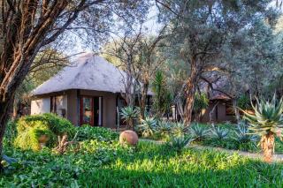 Cheasas Peak Safaris - 0