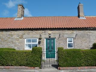 Tom's Cottage - 9