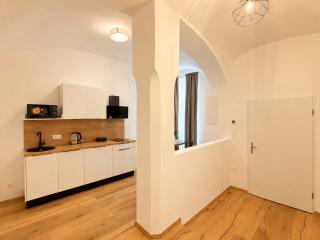 Modern Apartment in Central Viennas 7th District - 6