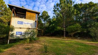Los Pinos - 9