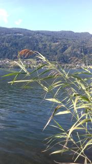 Merlschober, Wohnung 4, Ossiacher See - 3