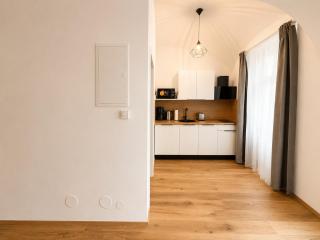 Stylish apartment near Mariahilfer Straße - 7