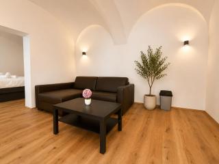 Stylish apartment near Mariahilfer Straße - 3