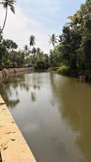 Prabhalayam- Riverside farm retreat - 4