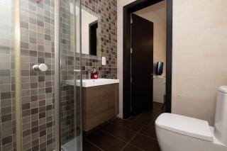 Central 2 BR penthouse, sea view - 4