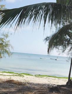 Baobab Africa zanzibar - 2
