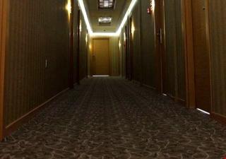 Grand Alin Otel Turhal - 4