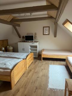 Apartmánek u Špičáku - 7