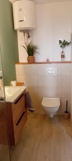 bambou studio - 1