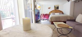 PARIS AUTHENTIC HOUSE studio with green courtyard - Gentilly - 6