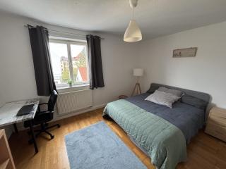 Cozy room in a spacious 70 square meter apartment - 0