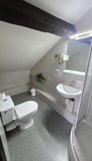 Résidence Les Poiriers - Petite chambre 2 mansardée tout confort avec salle de bain privative - 6