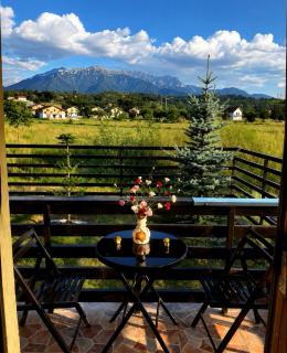 Apartament cu vedere la Munții Bucegi Bran - 0