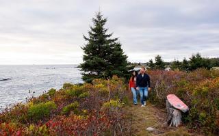 Oceanfront Beach House - Seaside Accommodations - 5
